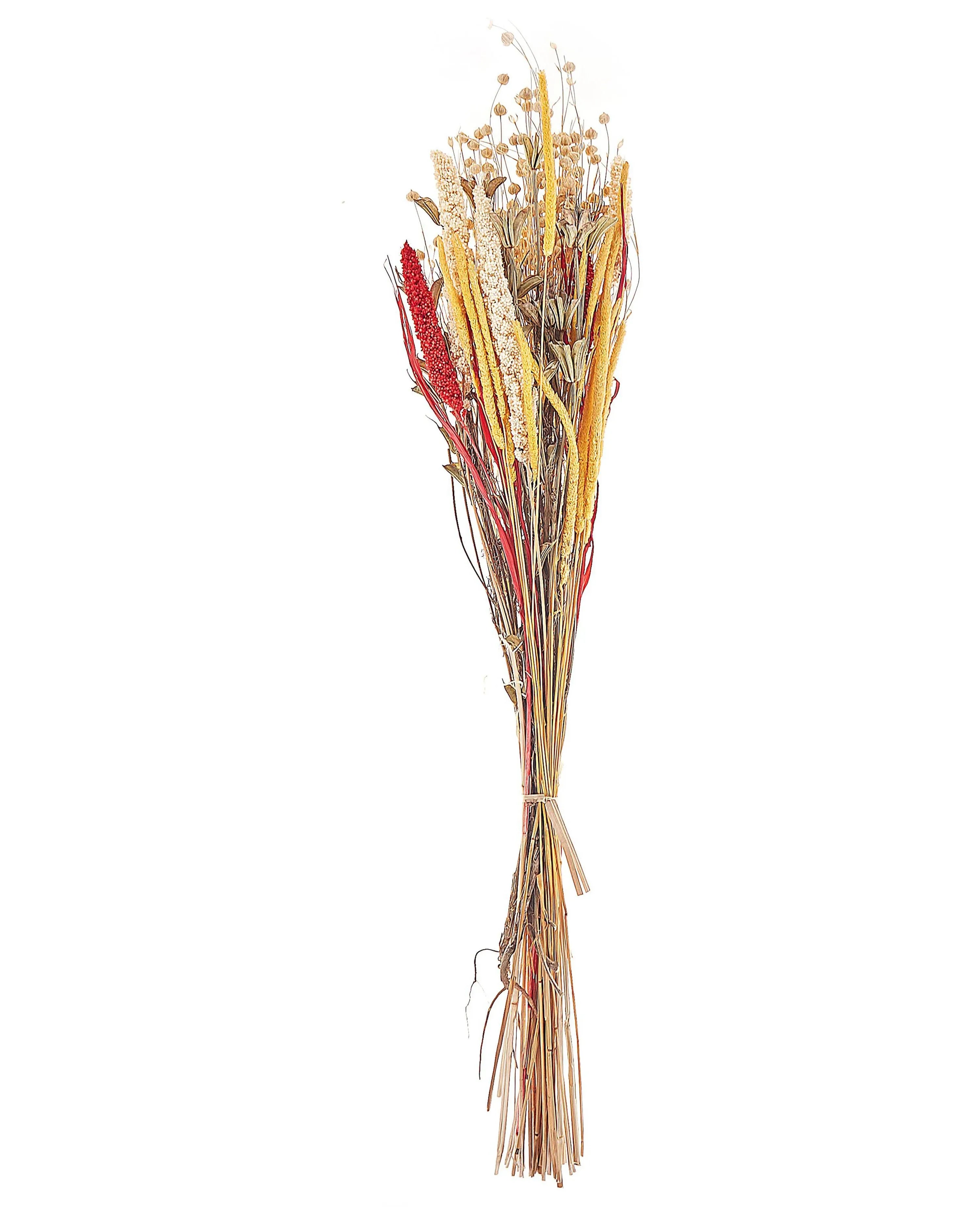 Mazzo di Fiori Secchi PAMPELUNA 65 cm Naturale