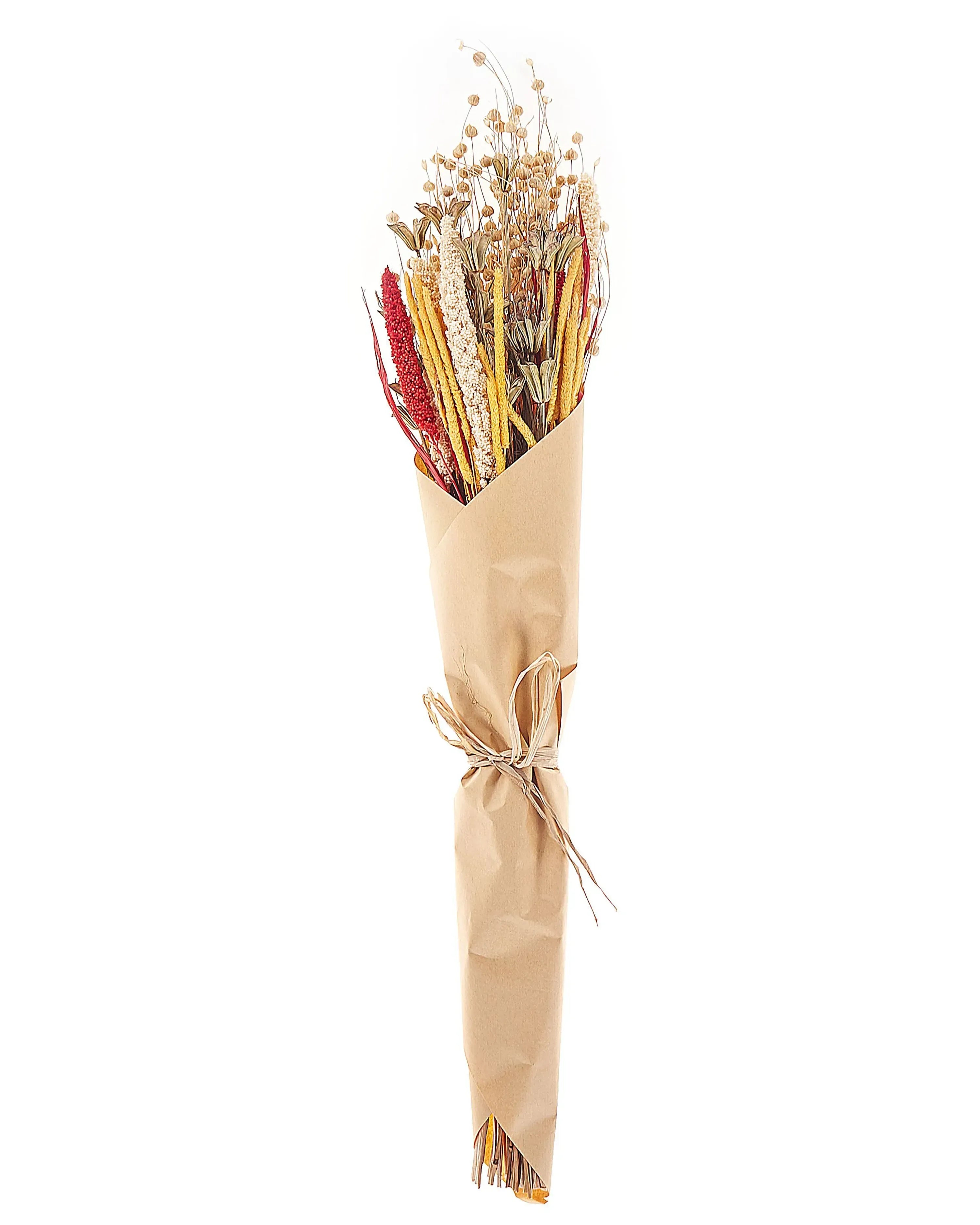 Bouquet de fleurs séchées 65 cm Naturel