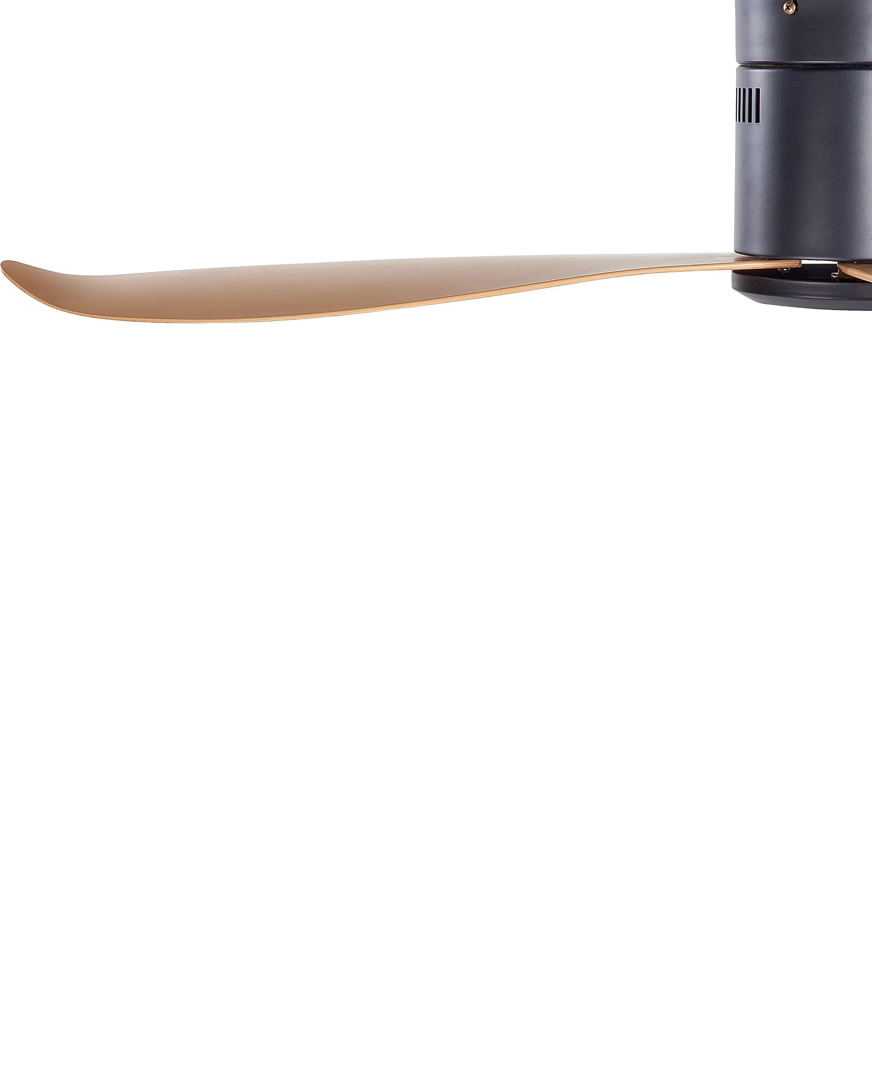 Ventilateur de plafond avec télécommande Noir