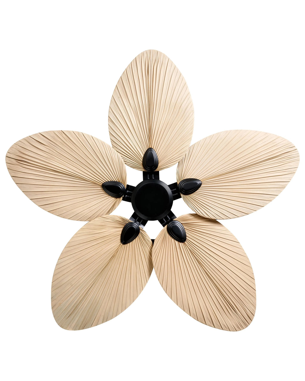 Ventilateur de plafond avec télécommande Naturel