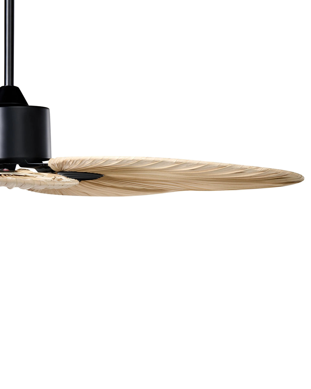 Ventilateur de plafond avec télécommande Naturel