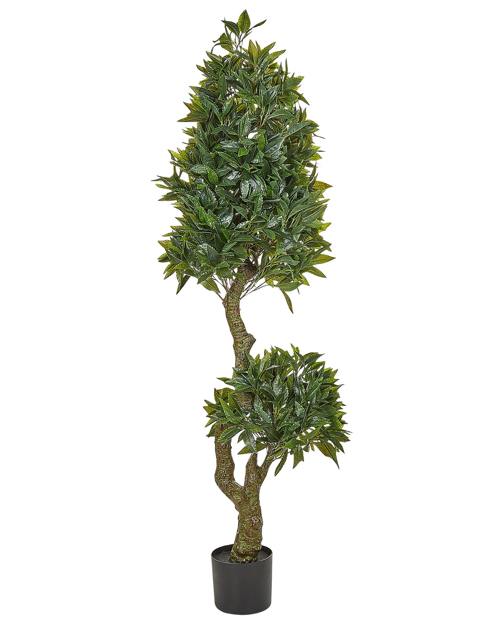 Pianta artificiale LAURELE 160 cm Verde