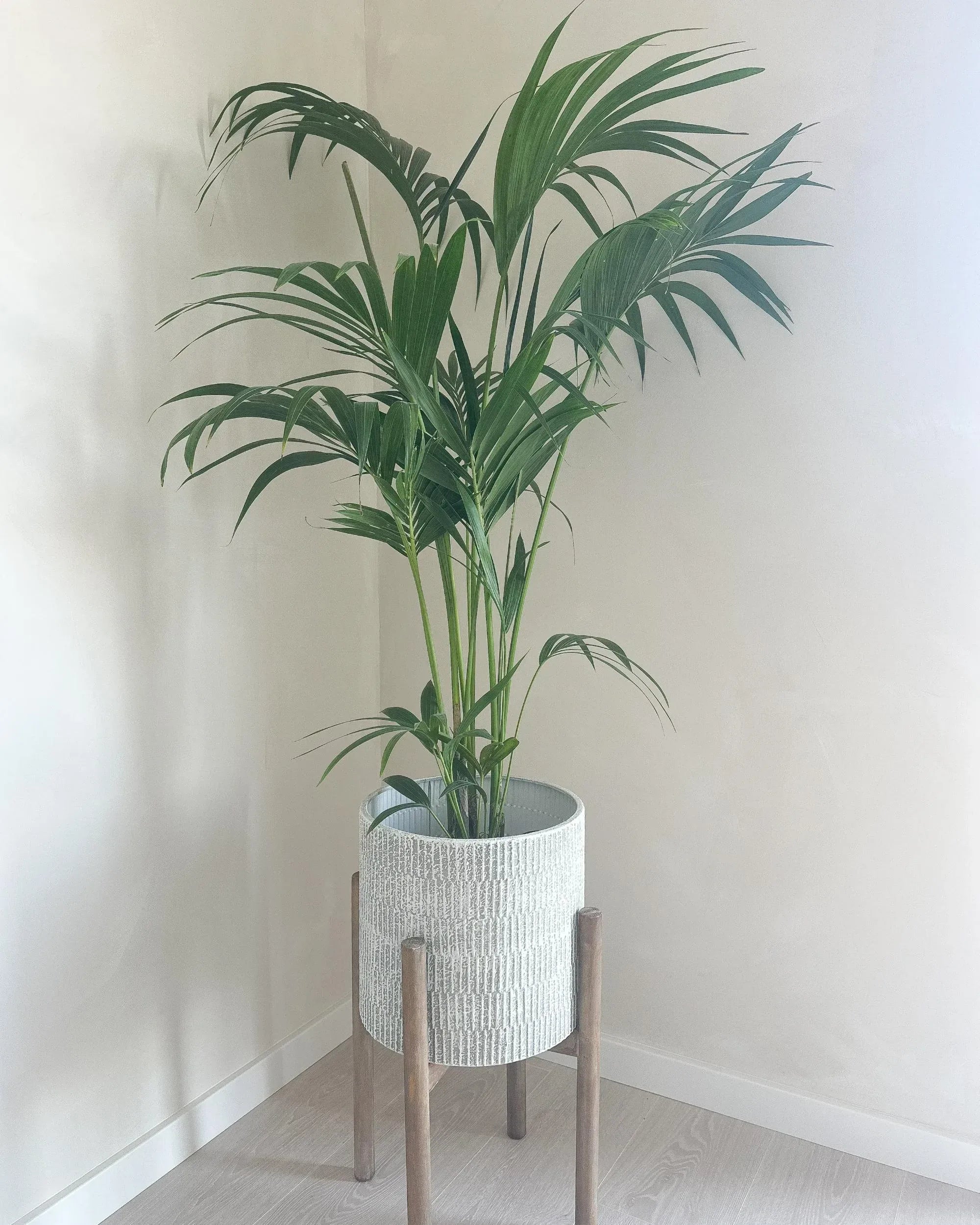 Jardinière surélevée en métal 30 cm Gris