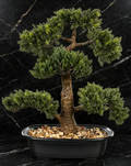 Plante artificielle PIN 44 cm Vert